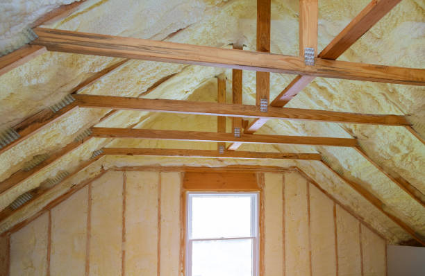 Best Specialized Insulation Services in USA